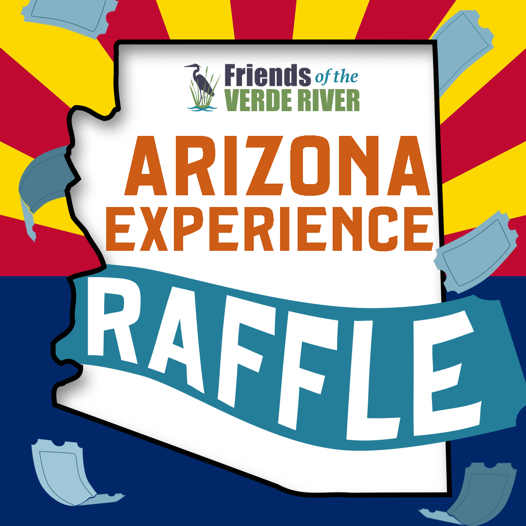 2025 Arizona Experience Raffle - logo